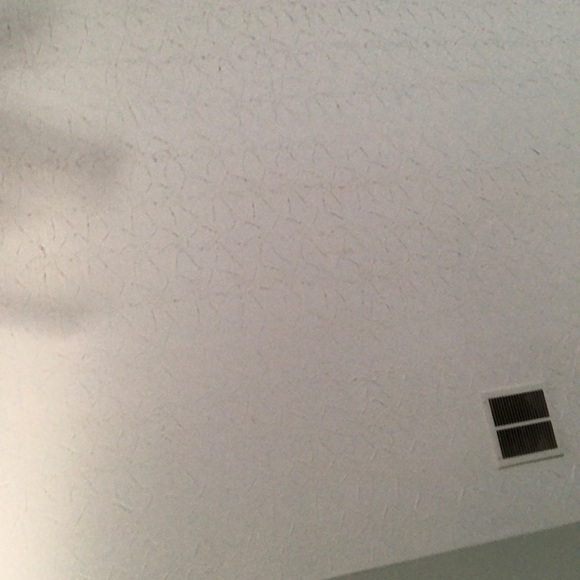 Meet your Posher, Alex - Picture 1 of 1